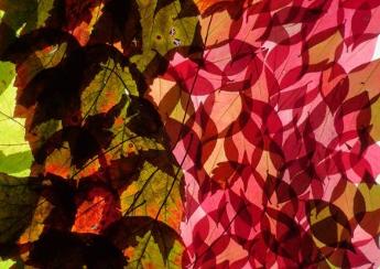 Space to Create_1769416620783