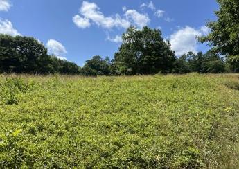 Artist Residency 2025- Sheepscot Arts Preserve_1744180195448